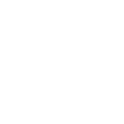 Graphic Designing